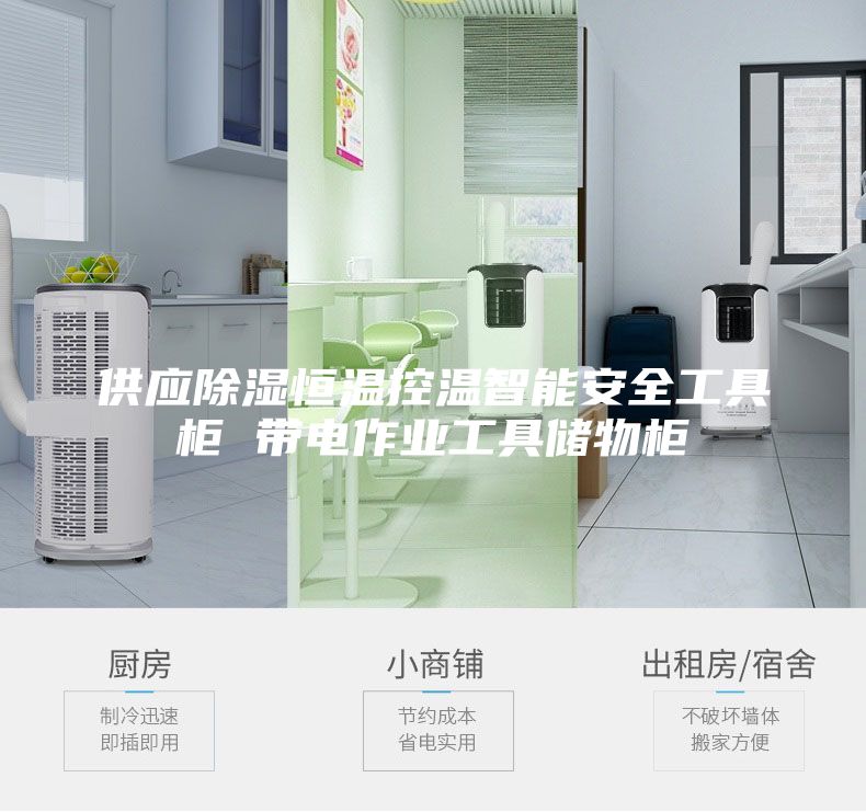 供应除湿恒温控温智能安全工具柜 带电作业工具储物柜