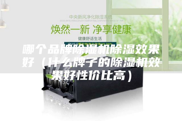 哪个品牌除湿机除湿效果好（什么牌子的除湿机效果好性价比高）