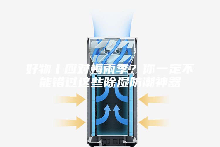 好物丨应对梅雨季?你一定不能错过这些除湿防潮神器