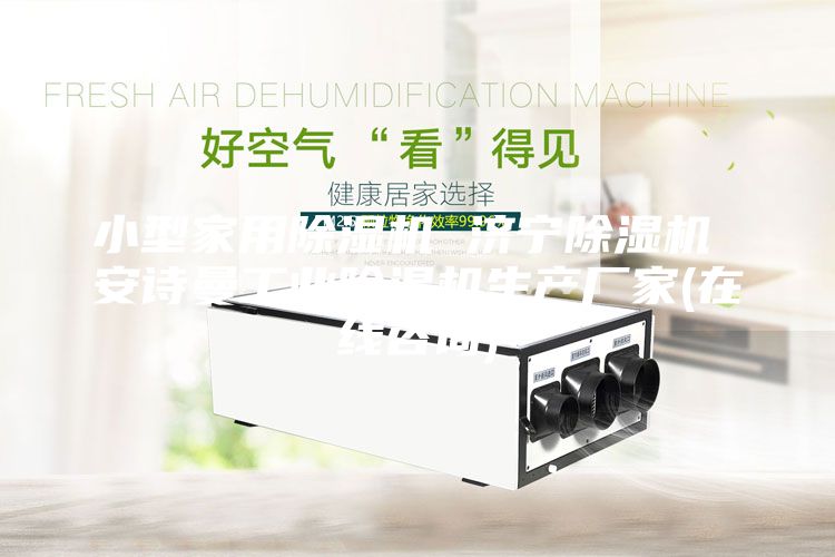 小型家用除湿机 济宁除湿机 安诗曼工业除湿机生产厂家(在线咨询)