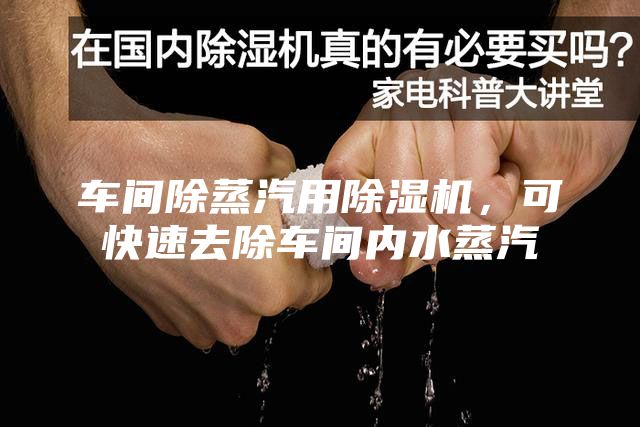 车间除蒸汽用除湿机，可快速去除车间内水蒸汽