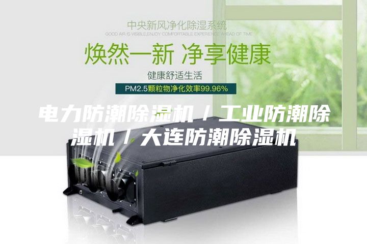 电力防潮除湿机/工业防潮除湿机/大连防潮除湿机