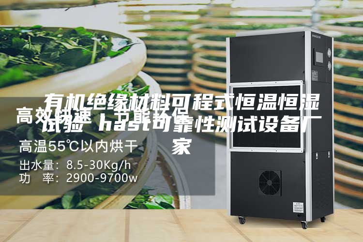 有机绝缘材料可程式恒温恒湿试验 hast可靠性测试设备厂家
