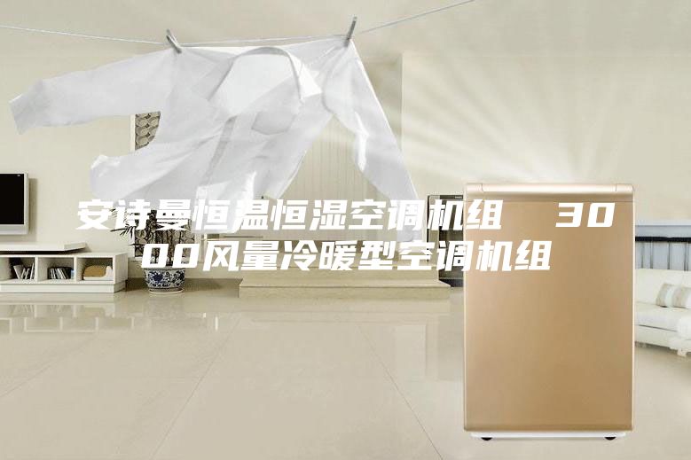 安诗曼恒温恒湿空调机组 3000风量冷暖型空调机组