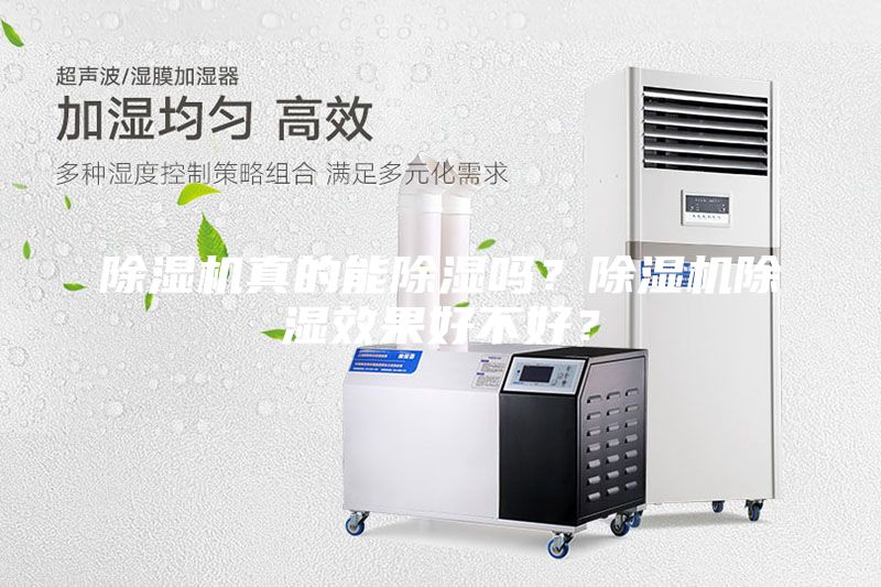 除湿机真的能除湿吗？除湿机除湿效果好不好？