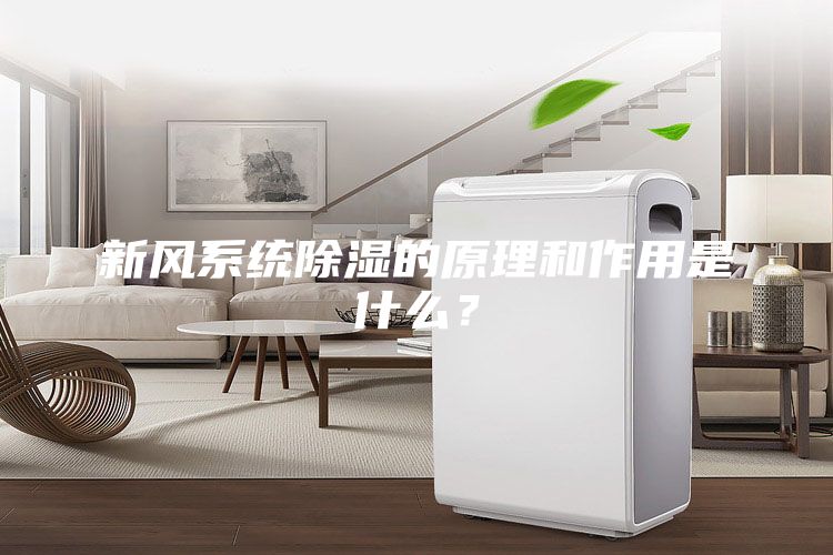 新风系统除湿的原理和作用是什么?