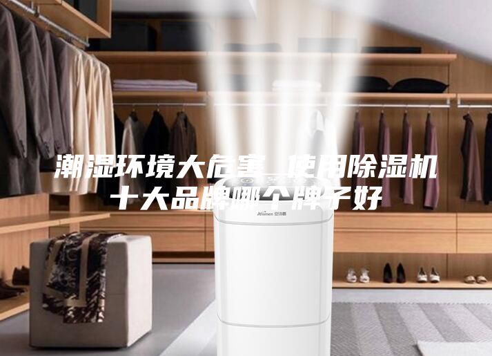 潮湿环境大危害 使用除湿机十大品牌哪个牌子好