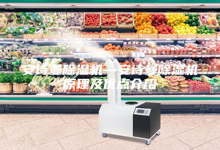 安诗曼除湿机—安诗曼除湿机原理及优点介绍