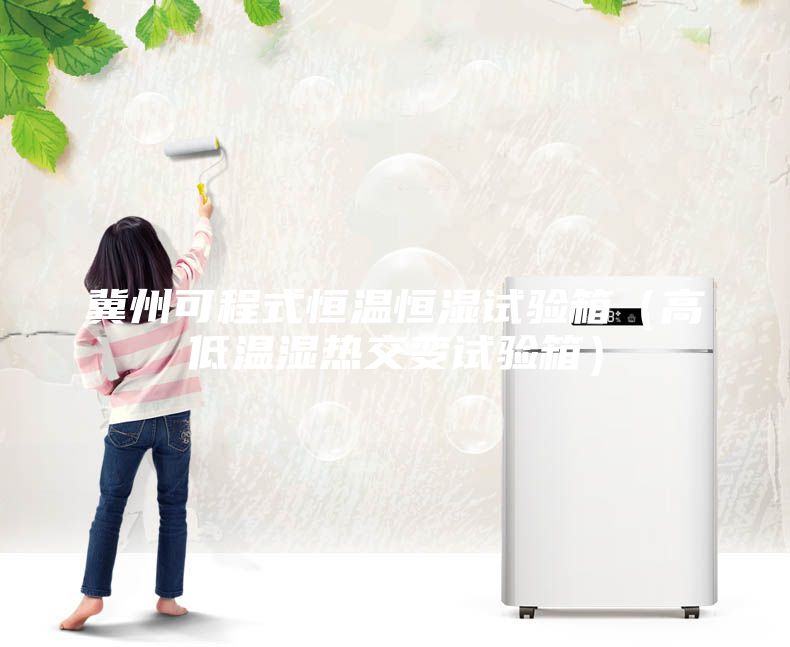 冀州可程式恒温恒湿试验箱(高低温湿热交变试验箱)