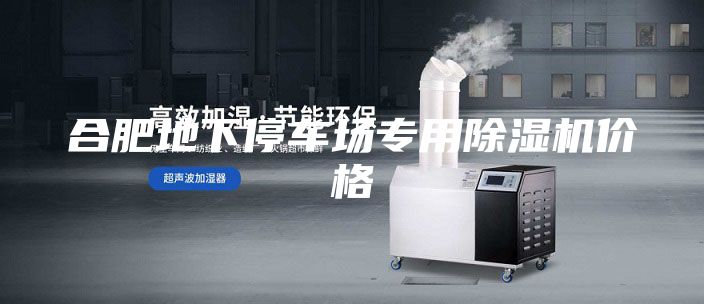 合肥地下停车场专用除湿机价格