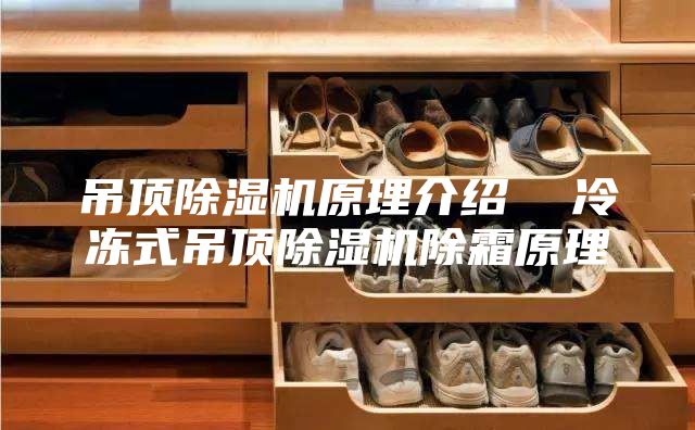 吊顶除湿机原理介绍  冷冻式吊顶除湿机除霜原理