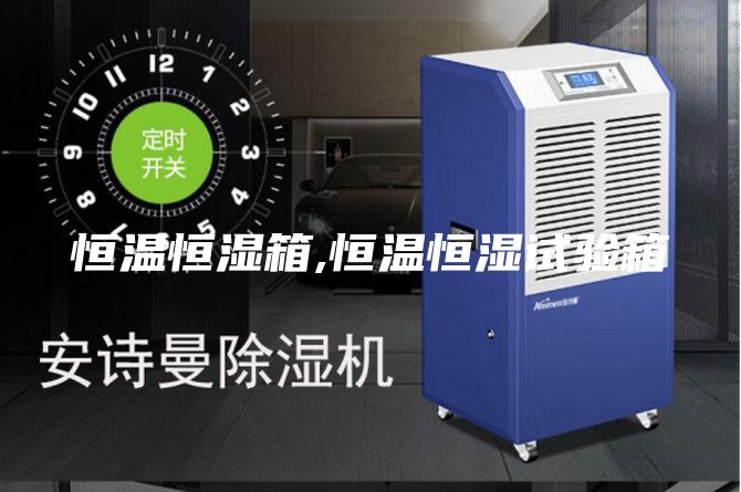 恒温恒湿箱,恒温恒湿试验箱