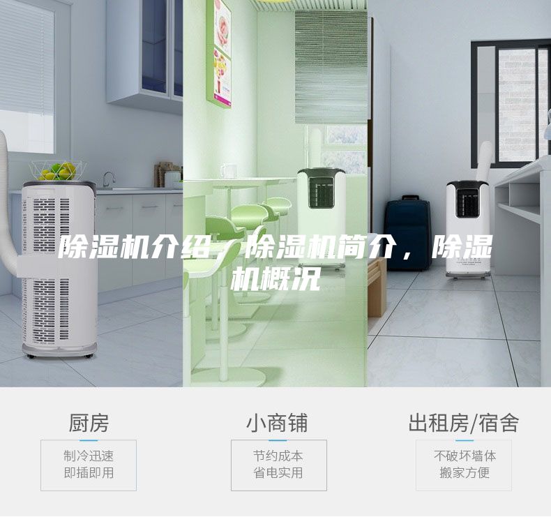 除湿机介绍,除湿机简介,除湿机概况