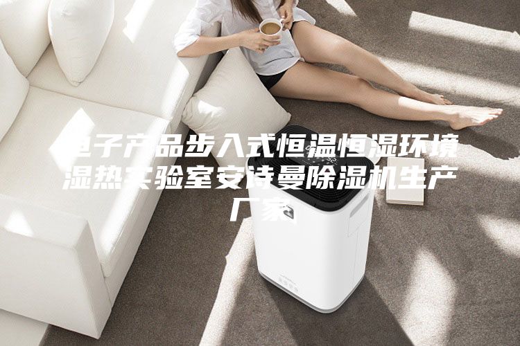 电子产品步入式恒温恒湿环境湿热实验室安诗曼除湿机生产厂家