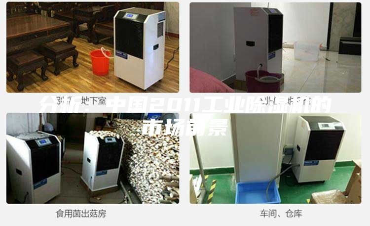 分析:中国2011工业除湿机的市场前景