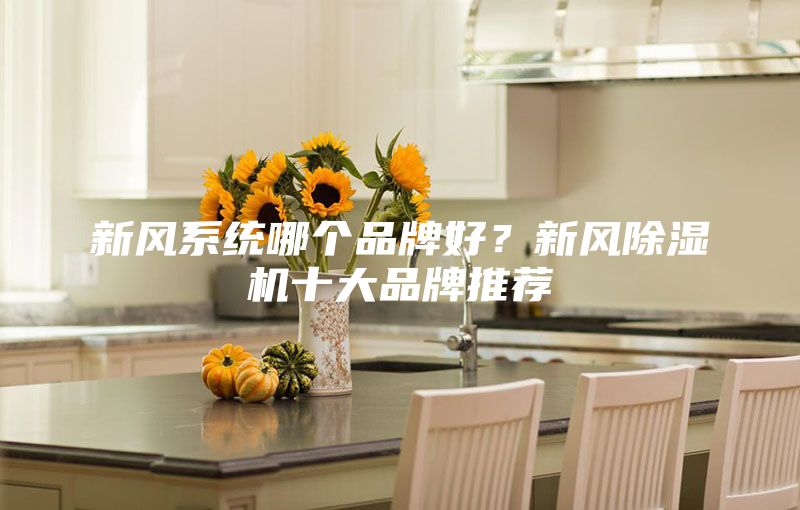 新风系统哪个品牌好？新风除湿机十大品牌推荐