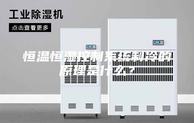 恒温恒湿控制系统制冷的原理是什么？