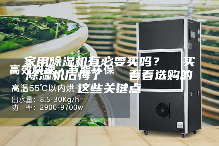家用除湿机有必要买吗? 买除湿机后悔了 看看选购的这些关键点