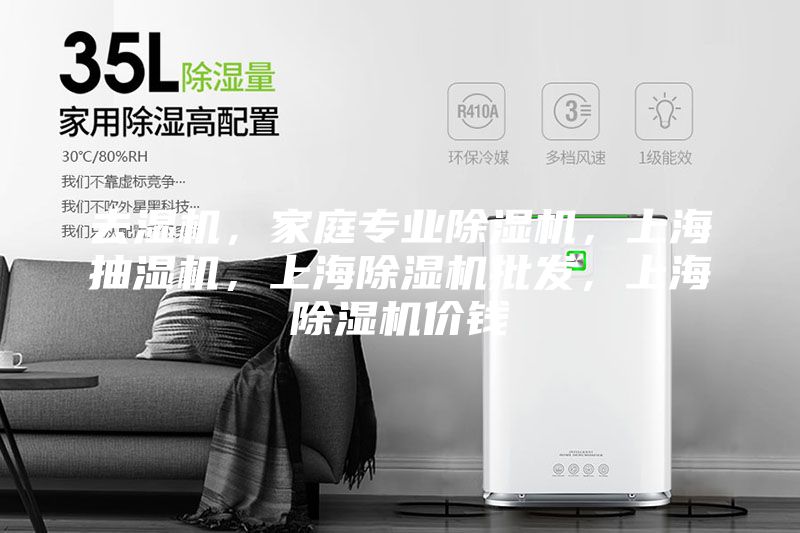 去湿机,家庭专业除湿机,上海抽湿机,上海除湿机批发,上海除湿机价钱