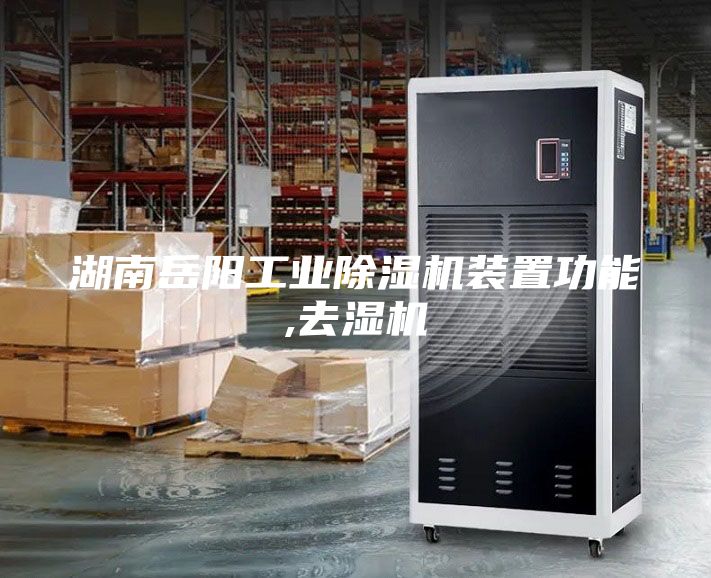 湖南岳阳工业除湿机装置功能,去湿机