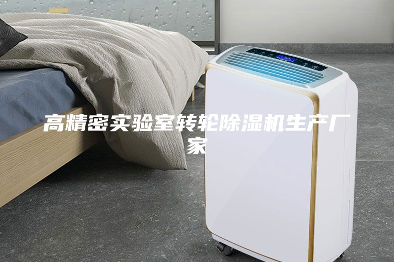 高精密实验室转轮除湿机生产厂家