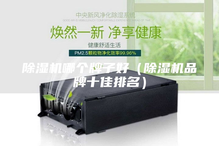 除湿机哪个牌子好（除湿机品牌十佳排名）