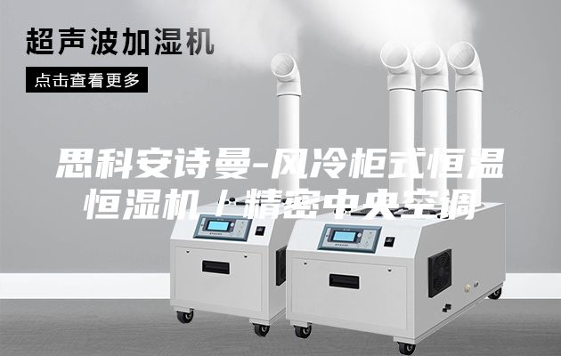 思科安诗曼-风冷柜式恒温恒湿机／精密中央空调