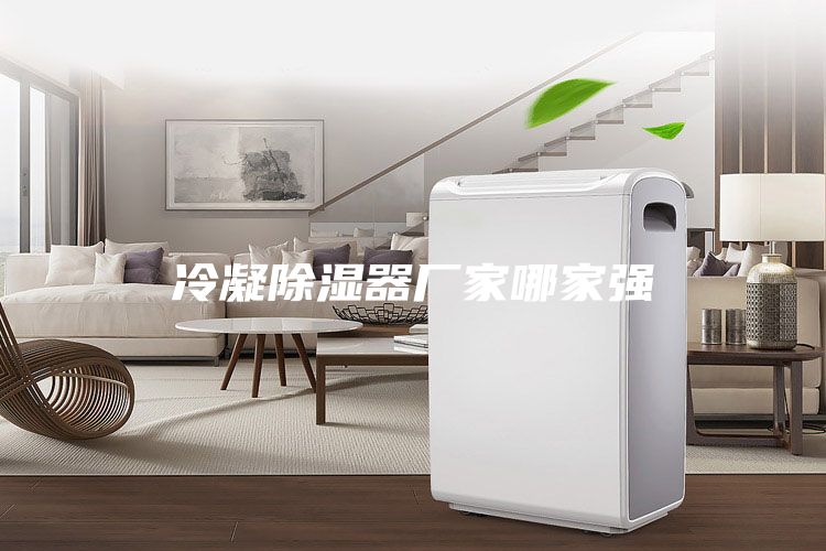 冷凝除湿器厂家哪家强