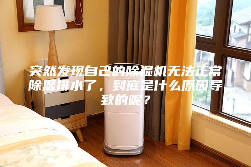 突然发现自己的除湿机无法正常除湿排水了，到底是什么原因导致的呢？