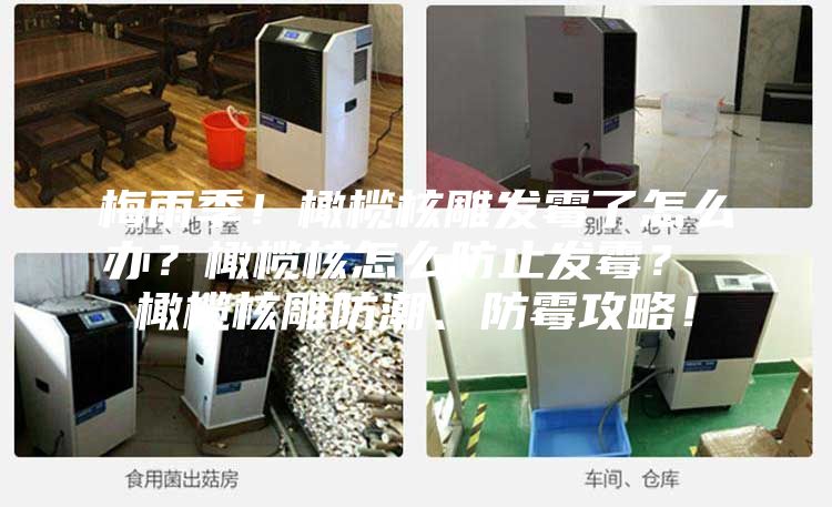 梅雨季!橄榄核雕发霉了怎么办?橄榄核怎么防止发霉? 橄榄核雕防潮、防霉攻略!