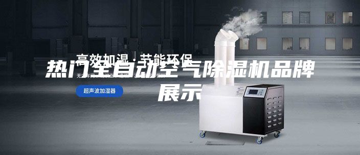 热门全自动空气除湿机品牌展示
