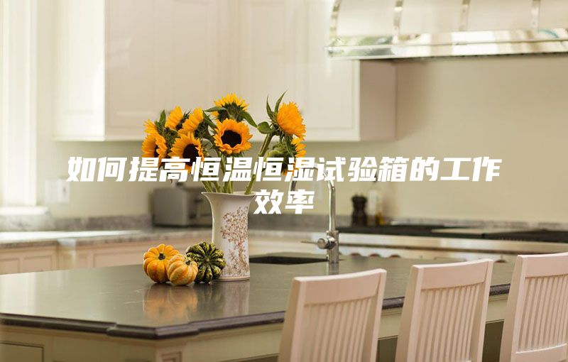 如何提高恒温恒湿试验箱的工作效率