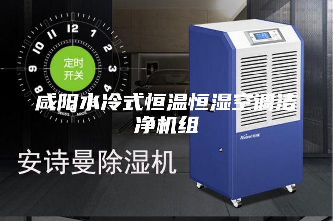 咸阳水冷式恒温恒湿空调洁净机组