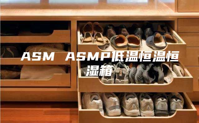 ASM ASMP低温恒温恒湿箱