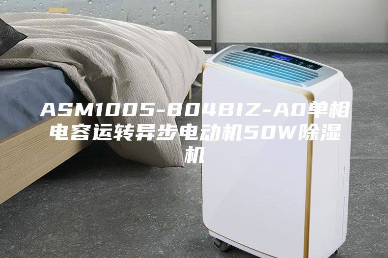 ASM1005-804BIZ-A0单相电容运转异步电动机50W除湿机