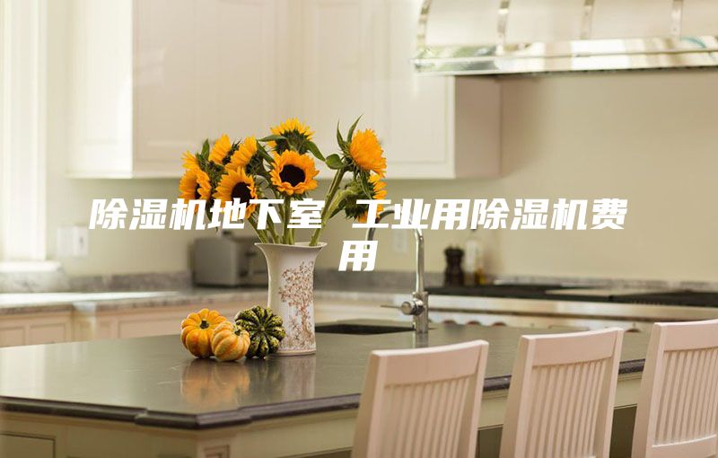 除湿机地下室 工业用除湿机费用