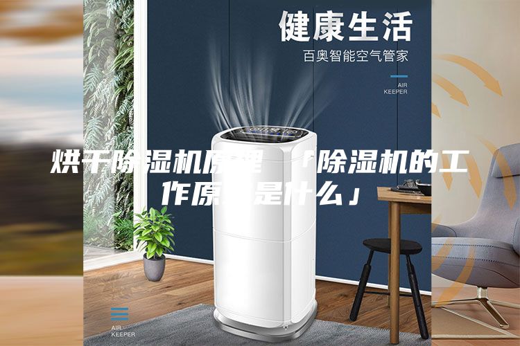 烘干除湿机原理 「除湿机的工作原理是什么」