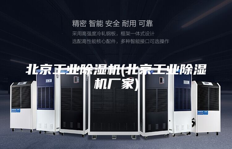 北京工业除湿机(北京工业除湿机厂家)