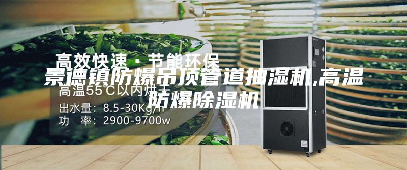 景德镇防爆吊顶管道抽湿机,高温防爆除湿机