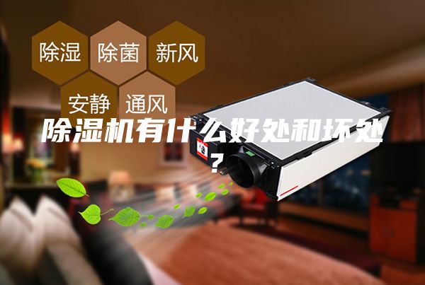 除湿机有什么好处和坏处?