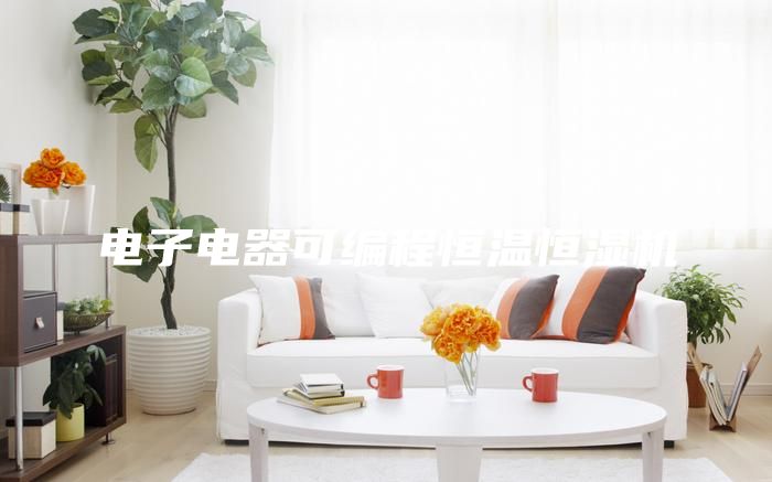 电子电器可编程恒温恒湿机