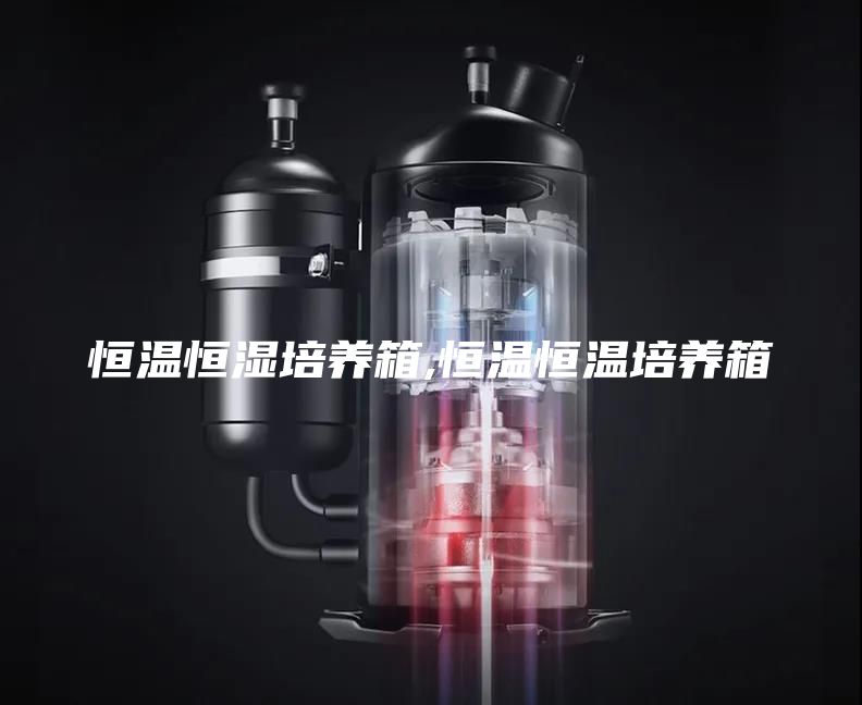 恒温恒湿培养箱,恒温恒温培养箱