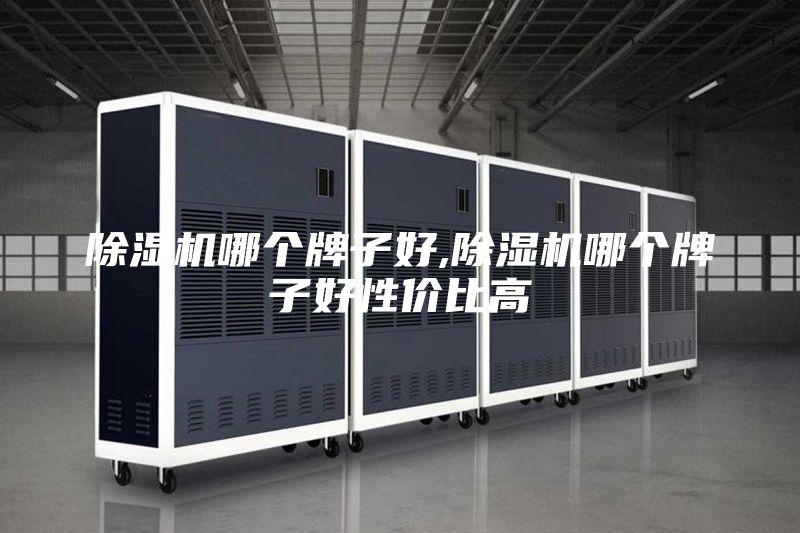 除湿机哪个牌子好,除湿机哪个牌子好性价比高