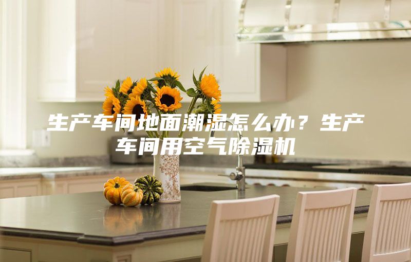 生产车间地面潮湿怎么办?生产车间用空气除湿机