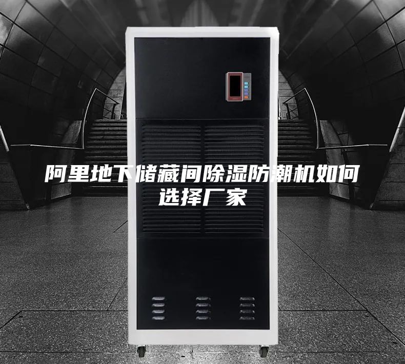 阿里地下储藏间除湿防潮机如何选择厂家