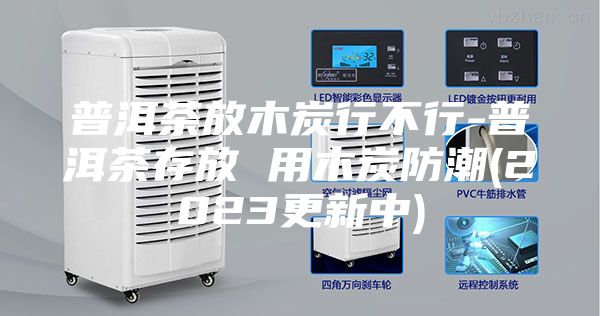 普洱茶放木炭行不行-普洱茶存放 用木炭防潮(2023更新中)