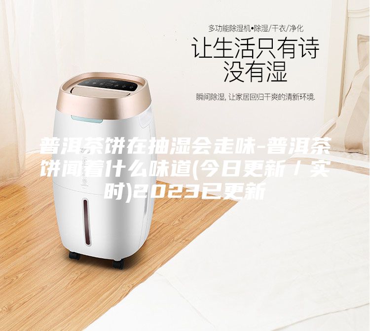 普洱茶饼在抽湿会走味-普洱茶饼闻着什么味道(今日更新/实时)2023已更新