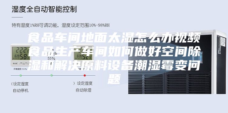 食品车间地面太湿怎么办视频食品生产车间如何做好空间除湿和解决原料设备潮湿霉变问题