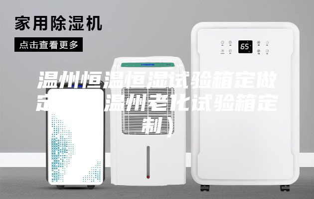 温州恒温恒湿试验箱定做定制（温州老化试验箱定制）