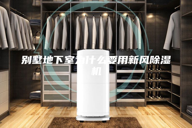 别墅地下室为什么要用新风除湿机